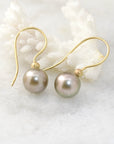 Chocolate + Gold Tahitian Pearl Earrings