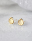14k Gold Mini Scallop Studs