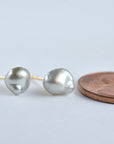 Mist Grey Tahitian Pearl Keshi Studs
