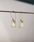 Rainbow Moonstone Drop Earrings