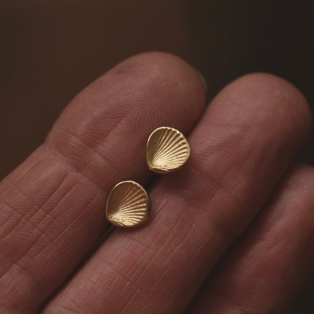 14k Gold Mini Scallop Studs