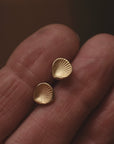 14k Gold Mini Scallop Studs