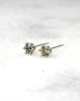 Montana Sapphire 6 Prong Studs