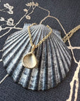 Mini Scallop Pendant