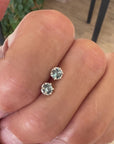 Montana Sapphire 6 Prong Studs
